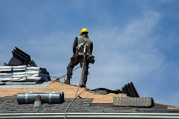 Professional Roof Replacement technician working in Guys, TN